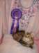 Photo Number 6