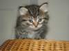 Photo Number 11