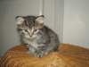 Photo Number 7
