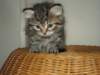 Photo Number 9
