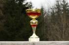 parassiperiankissanuoripokaali2008bestsiberiancatyoung2008pokal2_small.jpg