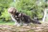 ahuvagirlsibn22ot7weeks39202543_small.jpg