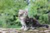 ahuvagirlsibn22ot7weeks39202551_small.jpg