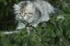 img_7350_small.jpg