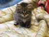 img_0314_small.jpg