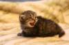 img_5891_small.jpg