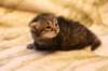 img_5892_small.jpg