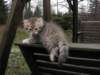img_0890_small.jpg