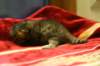 img_6205_small.jpg