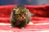 img_6076_small.jpg