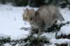 img_7888_small.jpg
