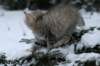 img_7889_small.jpg