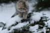 img_7893_small.jpg