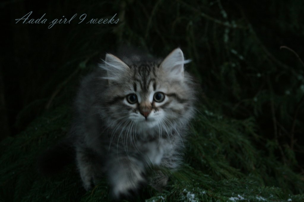 aadagirl9weeks21.jpg