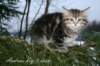 andreasboy9weeks10_small.jpg