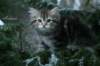 andreasboy9weeks11_small.jpg