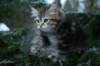 andreasboy9weeks12_small.jpg