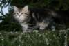 andreasboy9weeks14_small.jpg