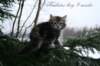 andreasboy9weeks7_small.jpg