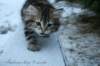 andreasboy9weeks_small.jpg