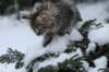 img_8063_small.jpg