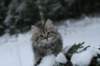 img_8064_small.jpg