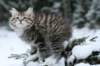 img_7940_small.jpg