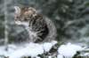 img_8018_small.jpg