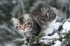 img_8026_small.jpg