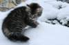 img_8037_small.jpg