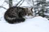 img_8044_small.jpg