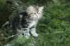 img_7491_small.jpg