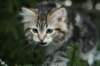 img_7494_small.jpg
