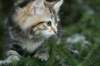 img_7500_small.jpg