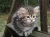 img_0830_small.jpg