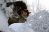 img_8737_small.jpg
