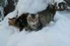img_8802_small.jpg