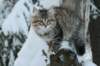 img_8870_small.jpg