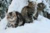 img_8877_small.jpg