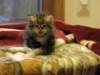 img_0535_small.jpg