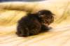 img_5782_small.jpg