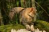 img_3381_small.jpg