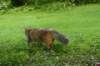 img_3493_small.jpg