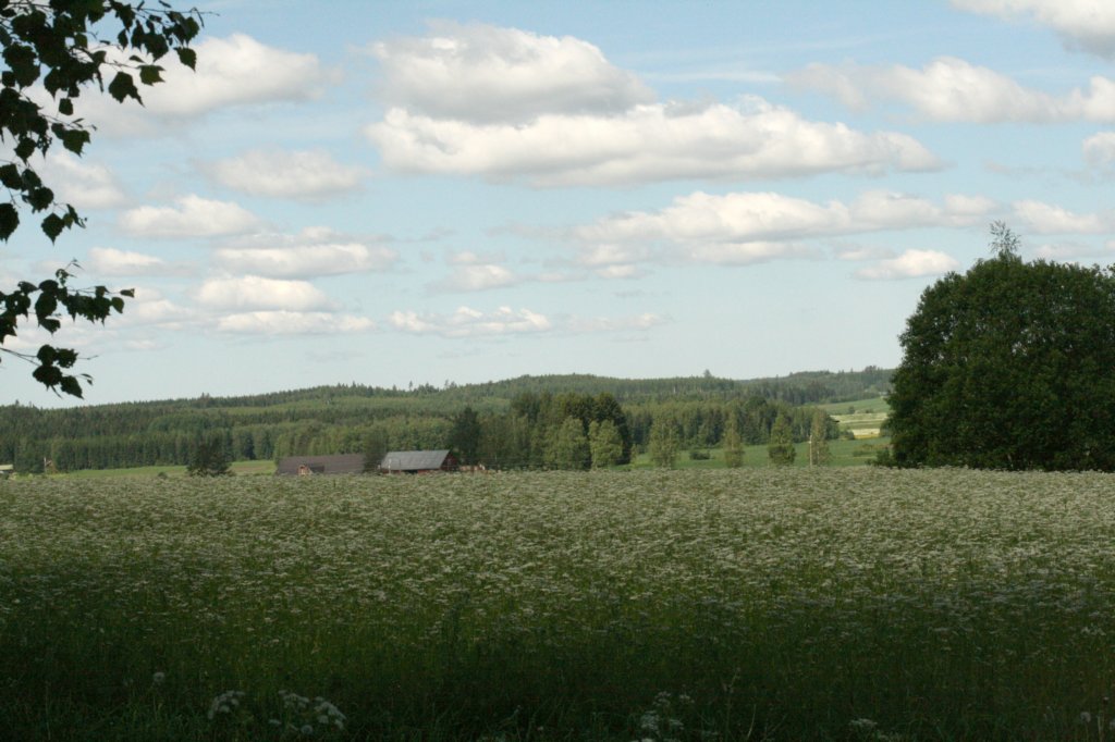 img_3500.jpg