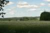 img_3500_small.jpg