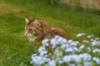 img_2880_small.jpg