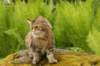 img_3075_small.jpg