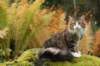 zorbaimg_8389_small.jpg