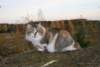 Photo Number 11