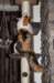 carmel60_small.jpg
